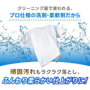 せんたくレスキュー柔軟剤 しみ抜きツインペン 【ご家庭用】 洗剤 J-102