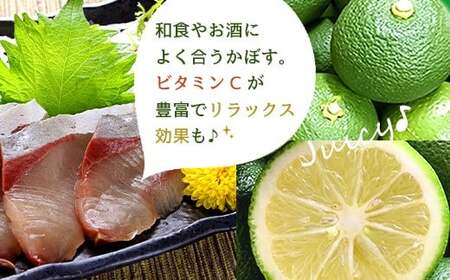 【2026年9月上旬-10月上旬発送予定】 さわやかな果汁たっぷり 竹田かぼす♪ 4kg 50玉前後（露地）