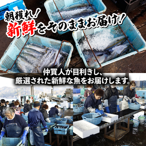 訳あり 鮮魚 詰め合わせ セット 3～4種 約2kg