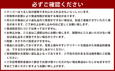 【先行予約】＜宮崎県産 完熟マンゴー （Lサイズ 3個 もしくは 2Lサイズ 2個）＞ 2026年4月上旬～9月上旬迄に順次出荷【c298_my_x7】 果物 フルーツ マンゴー くだもの 特産品 完熟 国産 宮崎県 高鍋町