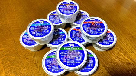 ジャージー 牛乳 を 使った アイスクリーム 4種 12個 セット ラズベリー ミルク 抹茶 チョコ お取り寄せ ご当地 冷凍便 送料無料 北海道 十勝 芽室町me058-001c