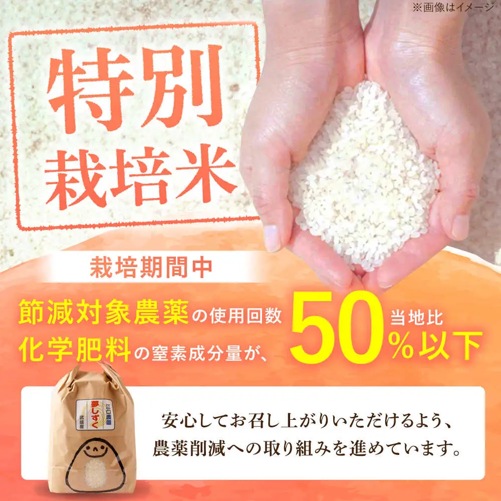 夢しずく 白米 5kg /江口農園[UBF012] 白米