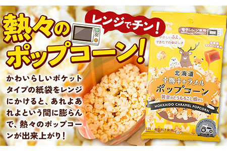 北海道十勝 前田農産黄金のとうもろこし電子レンジ専用「十勝キャラメルポップコーン」計10袋 有限会社 十勝太陽ファーム《60日以内に出荷予定(土日祝除く)》 ポップコーン　キャラメルポップコーン　北海道ポップコーン　十勝ポップコーン　メール便　メール　