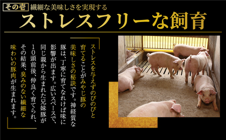 ブランド豚 しそ 餃子 20個 餃子