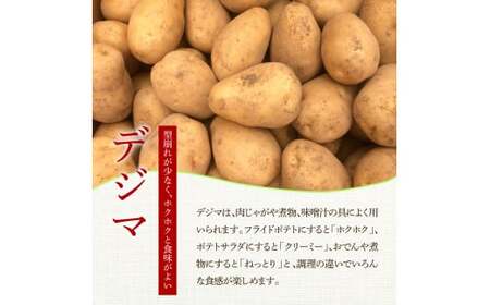 令和8年産新じゃがいも『デジマ』5kg訳あり品 