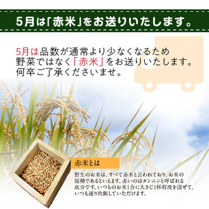 ＜京都産野菜定期便6回＞自然体な野菜セット 旬の野菜 野菜詰合せ 野菜セット 野菜定期便 6回 自然農園 自然栽培 安心 安全 健康 マクロビ ベジタリアン 定期便 京野菜 京都 木津川  086-02-T02