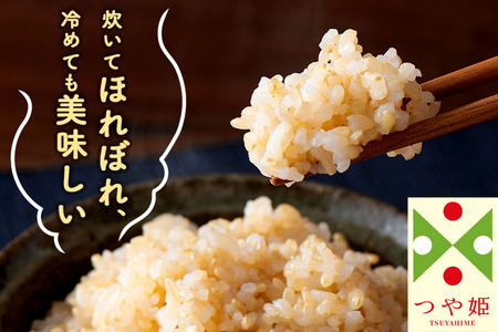 《定期便6ヶ月》【玄米】つや姫 10kg×6回（特別栽培米）令和5年産 山形県産 しらたかのお米