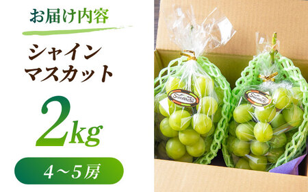 【2026年発送先行予約】 シャインマスカット 2kg(4～5房)【合同会社 社方園】ぶどう 大粒  熊本 期間限定  マスカット [ZBZ013]