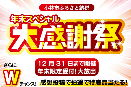 【年末大感謝祭！】モリモリ黒豚まみれセット　3.8ｋｇ（国産 豚 黒豚 直送 冷凍 小分け しゃぶしゃぶ すき焼き 限定 黒豚 黒豚 黒豚 黒豚 黒豚 )