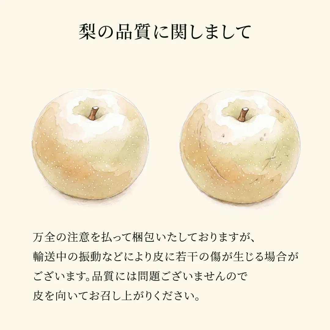 【2026年9月下旬から発送開始】《先行予約》《秀品》 にっこり梨 5kg 6玉 ～ 10玉 茨城県共通返礼品／かすみがうら市 鈴木農園 産地直送 フルーツ 甘い 直送 茨城 限定 にっこり [ED001sa]
