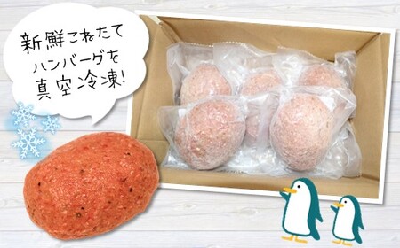 旨味 凝縮 あか牛 100％ ハンバーグ 750g （ 150g × 5個 ） | 肉 お肉 にく おにく ハンバーグ 加工品 牛 牛肉 あか牛 ハンバーグ 熊本 玉名