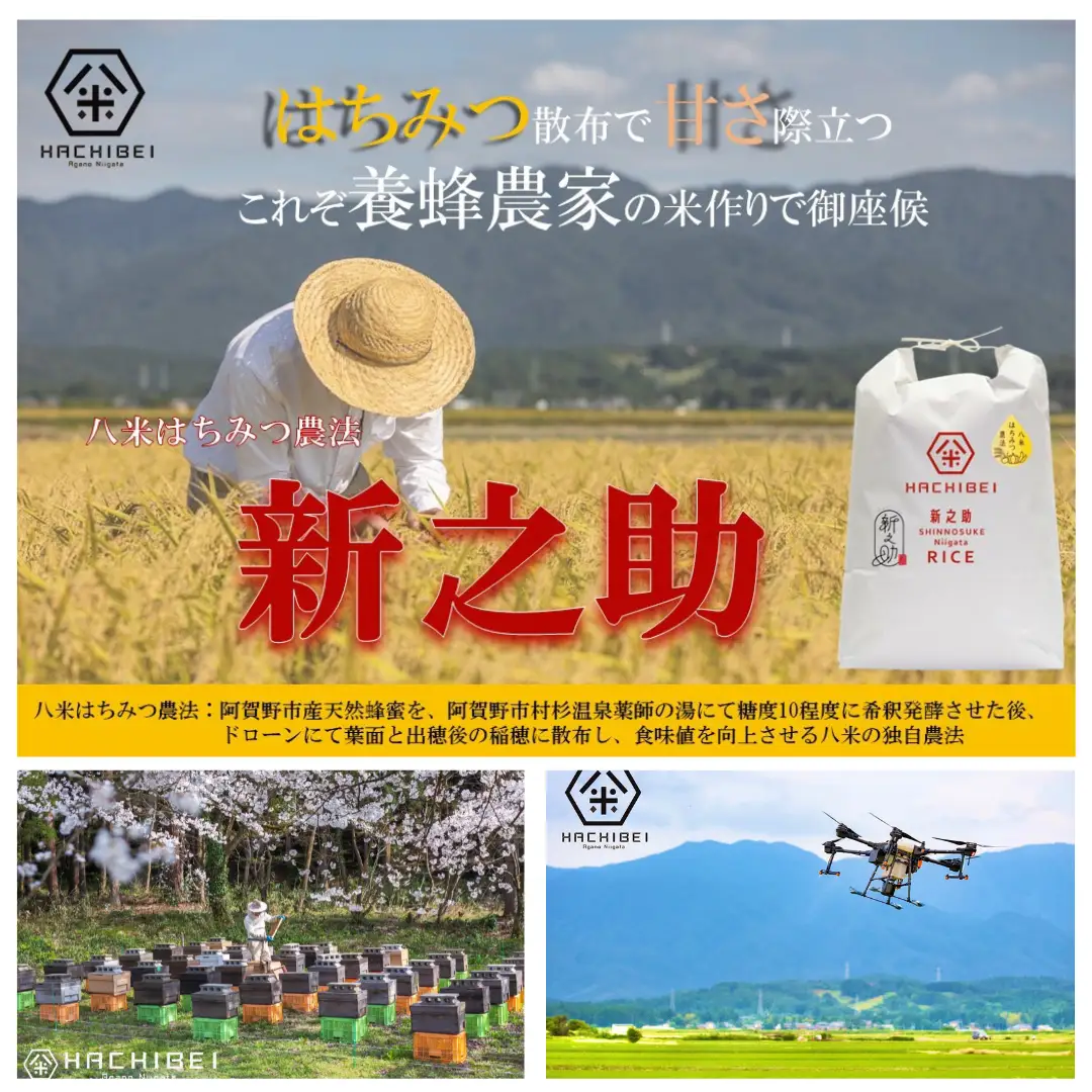 【令和8年産新米予約】【環境大臣賞受賞】【特別賞受賞】12ヶ月定期便 無洗米 新之助 10kg×12回 計120kg 農家直送 ほんのり甘い「はちみつ農法」 白米 精米 HACHIBEI 八米 新潟県 米 こめ コメ 新米 新米予約 令和8年産 10月中旬より順次発送予定 1L28346