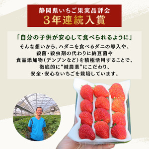 いちご【2027年発送】恋みのり 2パック×280g 完熟いちご | 静岡県南