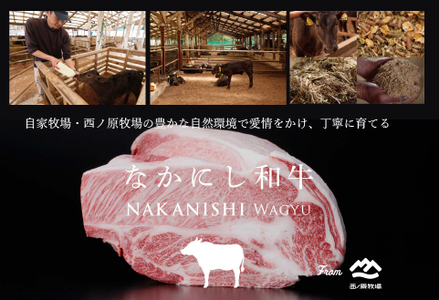【生産直送】 国産 牛肉 宮崎牛 おためし焼肉　500ｇ×１Ｐ（お肉 モモ ウデ すき焼き 焼肉 赤身） 焼肉 和牛焼肉 牛肉焼肉 焼肉セット 国産焼肉 西ノ原牧場