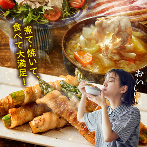 豚肉 みやざきブランドポークバラスライス 2kg（国産 豚バラ肉 生姜焼き 焼肉 スライス 限定 小分け ）