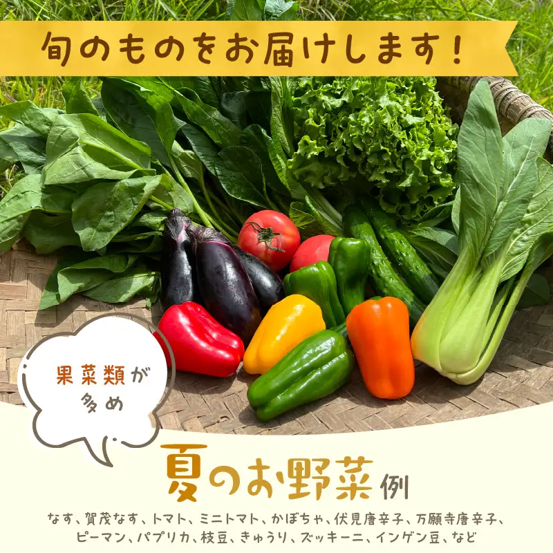 【12回定期便】有機野菜・京野菜の『京都やおよし』のお野菜と米2kgの詰め合わせ