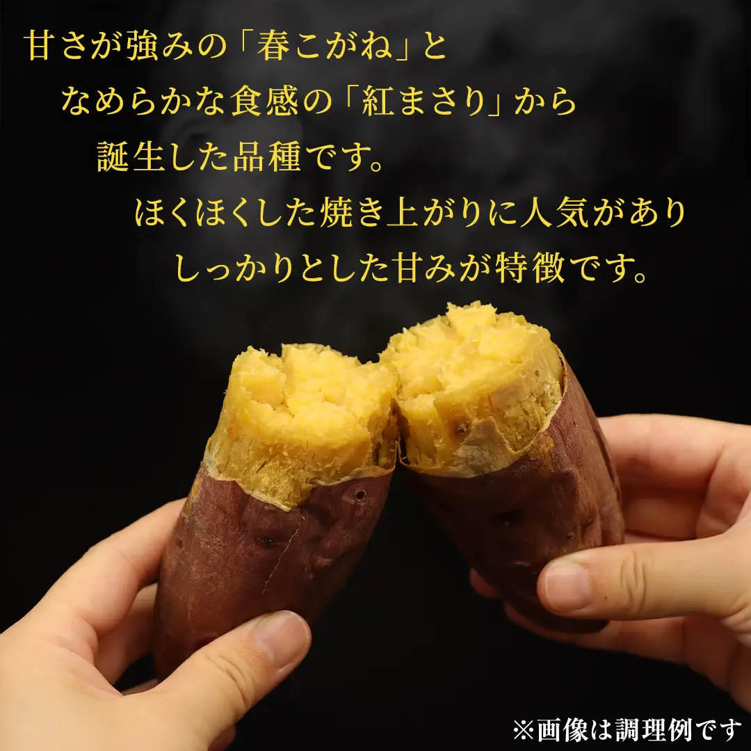さつまいも 【 シルクスイート 】 5kg ( 箱込 ) 