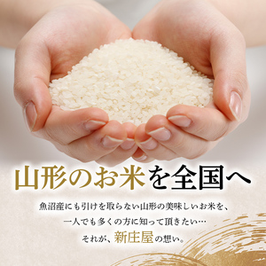 令和5年産 山形県産【雪若丸】無洗米 精米 5kg（5kg×1袋） 米 お米 おこめ 山形県 新庄市 F3S-1901