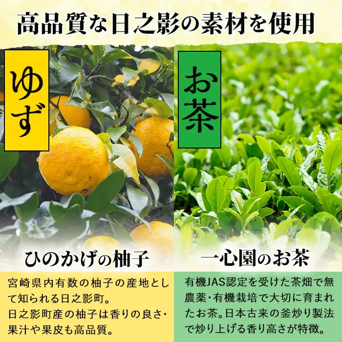 オーブンドーナツ（合計6個：日之影ユズ2個・日之影抹茶2個・発酵バターミルク2個） 焼きドーナツ おやつ ゆず 柚子 スイーツ ヘルシー 個包装 洋菓子 お菓子 おやつ お茶菓子 お茶請け 手土産【PT001】【パティスリーフォレスト】
