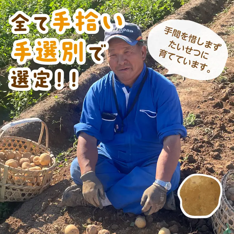 【予約：2027年2月上旬から順次発送】【選べる3サイズ】宇野さんの手拾い、手選別の越冬ジャガイモ 1kg ( 芋 野菜 選べる )【167-0001-2027】