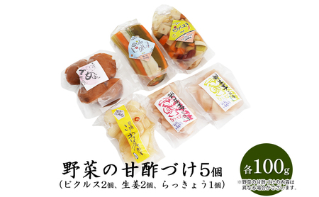 味噌漬物セット 翔の会 米味噌 麦味噌 甘酢漬け 味噌漬物セット