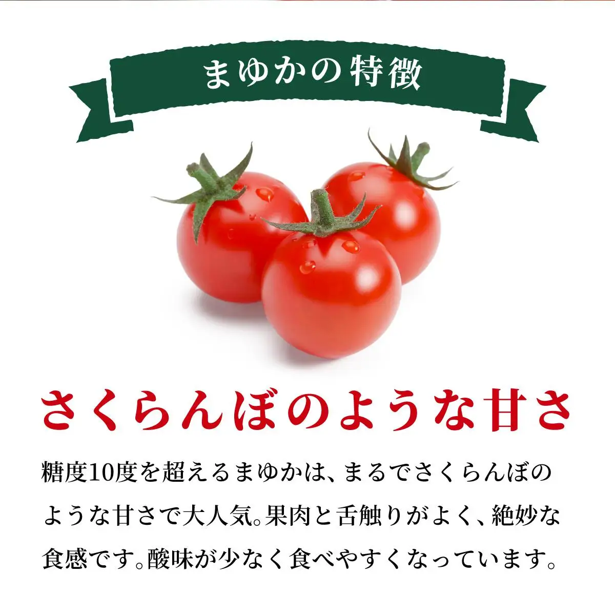 ＜先行予約＞北海道伊達産 ミニトマト まゆか 2kg【55250942】