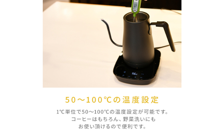 温度調節機能付き電気ケトル（1000W/0.8L） EKG-C801(B) 77678 F4N-2948