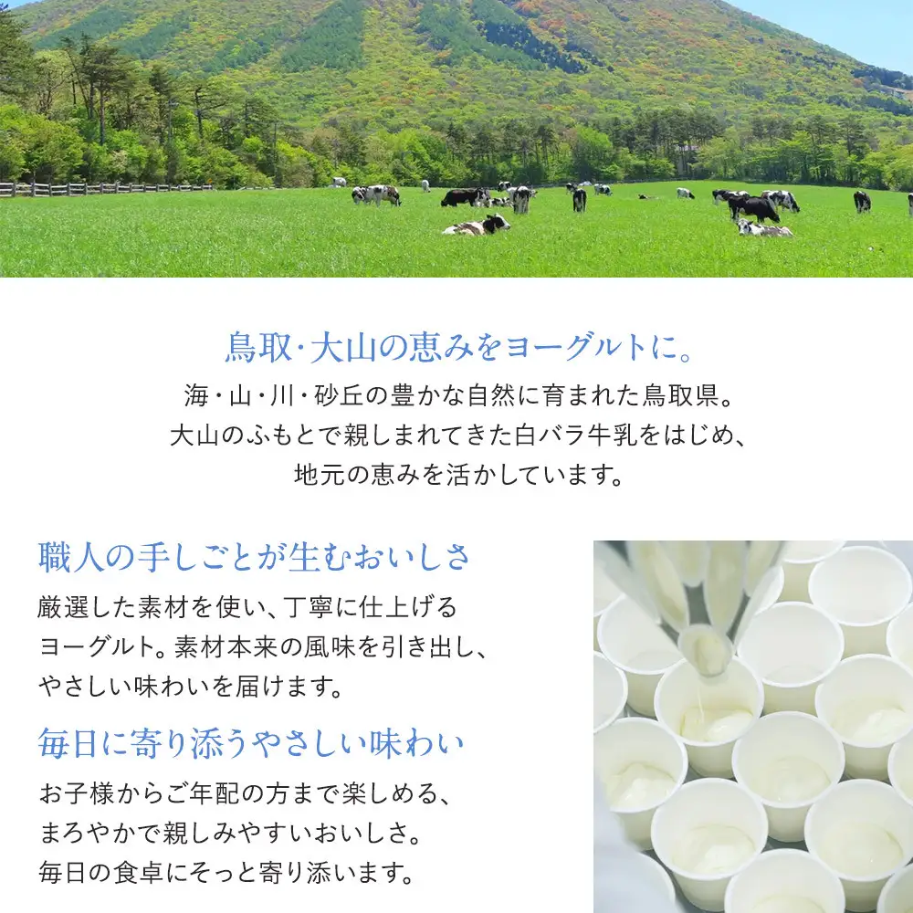 乳飲料 ヨーグルト専門店 「 三朝ヨーグルト 」 飲むヨーグルト 800ml × 2本
