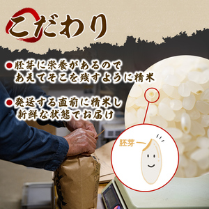 【F7033】＜令和7年産 先行予約！＞《定期便・全12回》田舎塾特別栽培米「がんこ米ゆめぴりか」(5kg×12回・計60kg) 【2025年10月中旬以降順次発送】 米 お米 白米 北海道産 北海道米 ゆめぴりか 特A 一等級 ごはん おこめ コメ 単一原料米 定期便 【田舎塾】