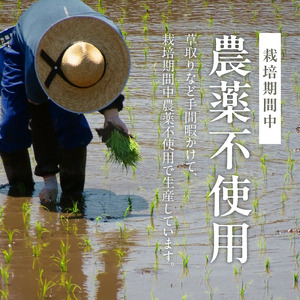 もち米1kg N0182-YA0474