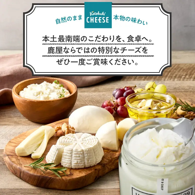 1128 フレッシュチーズ6種/ギリシャヨーグルトセット KN087-002 チーズ 乳製品