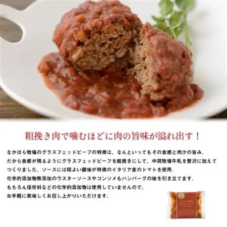 なかほら牧場の煮込みハンバーグ5個セット_肉 ハンバーグ 牛肉 _【配送不可地域：離島】【1324166】