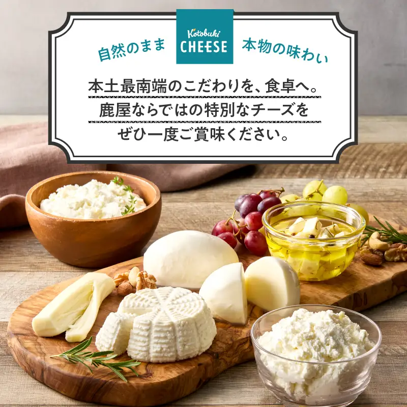901-1 ナチュラルチーズセット【10月出荷】 KN087-001-10 チーズ 乳製品
