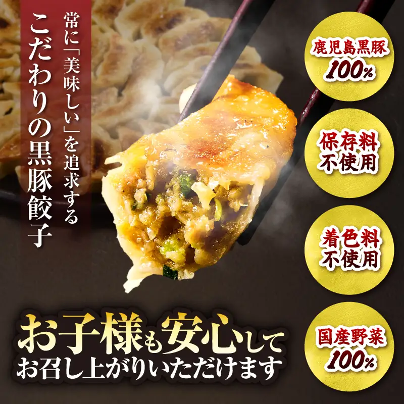 1289-1 鹿児島黒豚 餃子 1.6kg＜96個＞ 豚肉 黒豚 おかず 小分け アレンジ 贈答 鹿児島 鹿屋 こだわり KN054-004 肉 惣菜 総菜
