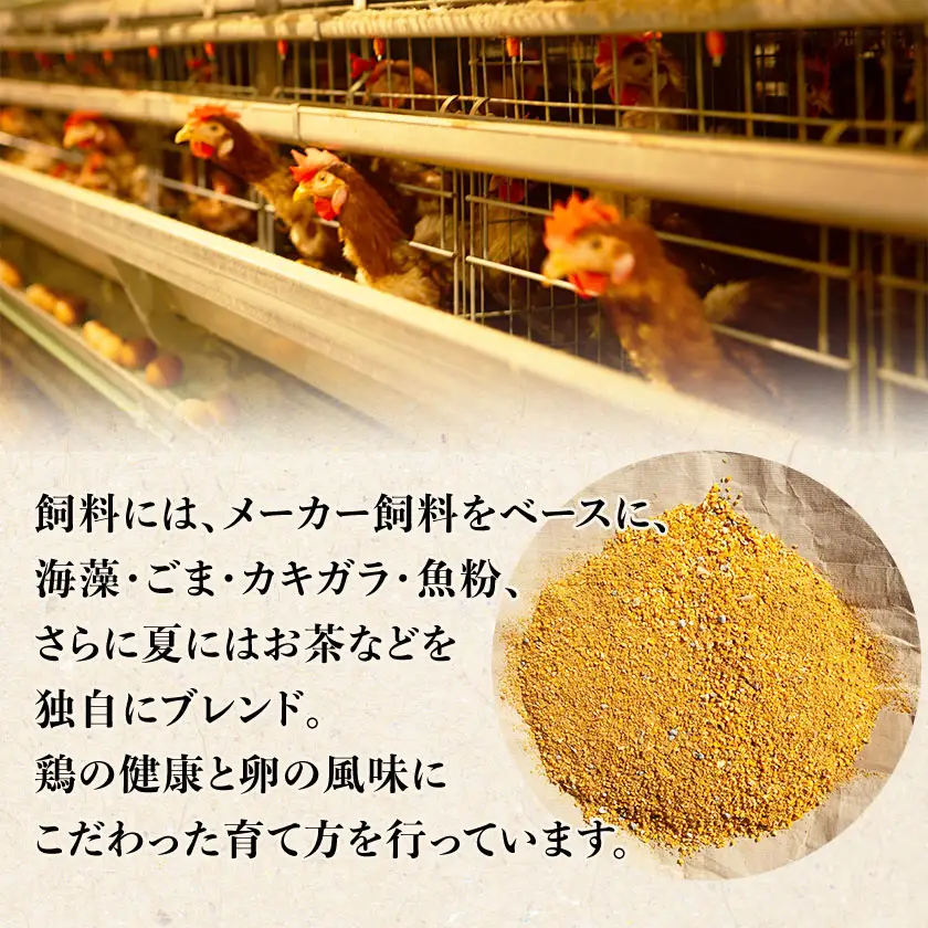 岩田のおいしい卵　実用中玉55個+破卵保障5個 (10個入り×6パック)_卵・乳製品 卵  たまご タマゴ 玉子_【配送不可地域：離島】【1081154】