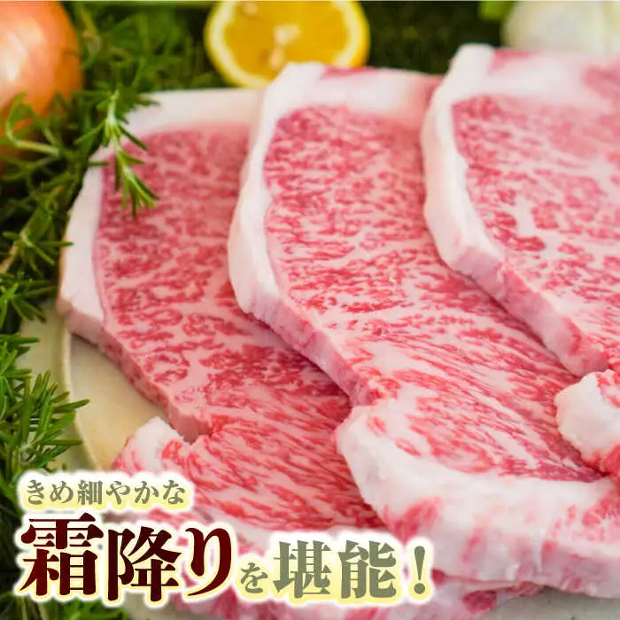 【全3回定期便】佐賀牛 至福の切り落としとサーロインステーキ食べ比べ 計2.1kg [41ASAA233]