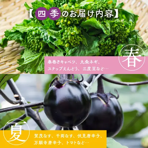 旬の京野菜スペシャル 野菜