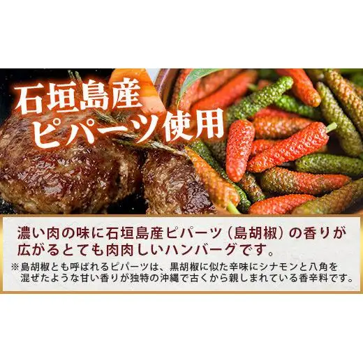 石垣島産 黒毛和牛 生ハンバーグ 120g x 6個 UN-1
