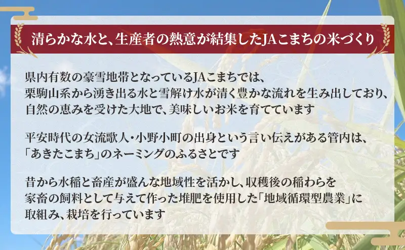 あきたこまち無洗米秋田県産JAこまちあきたこまち【10kg(5kg×2袋)】