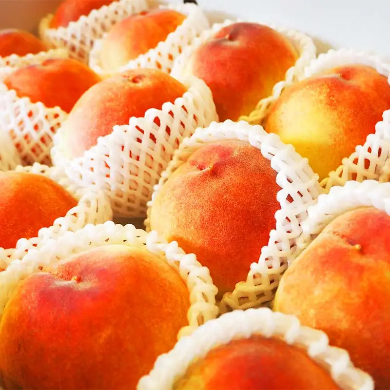 《2026年産先行受付》山形県産 白桃 秀品 5kg（12玉～20玉） 品種おまかせ 軟らかくなる桃 あかつき 川中島白桃 伊達白桃 他 もも モモ 桃 デザート フルーツ 果物 くだもの 果実 食品 山形県 FSY-2514