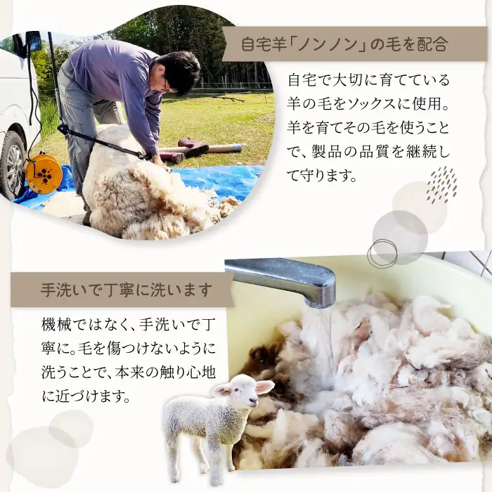 ひつじ飼いが作る ごほんゆびウールソックス Lサイズ(ベージュ)【ウール ソックス 5本指 靴下 Lサイズ ベージュ レディース メンズ 男女兼用 島根県 大田市】