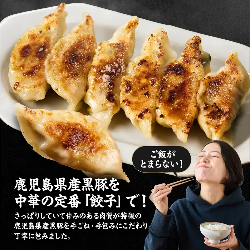 1609-1 鹿児島県産 黒豚生餃子 （20g×9個×6袋） KN065-001-01 肉 豚肉 餃子 惣菜 総菜