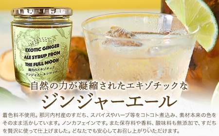 満月のエキゾチックジンジャエール 320ml×2瓶セット 