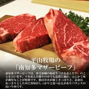 牛肉 焼肉用カルビ 700g [国産牛南知多マザービーフ] カルビ