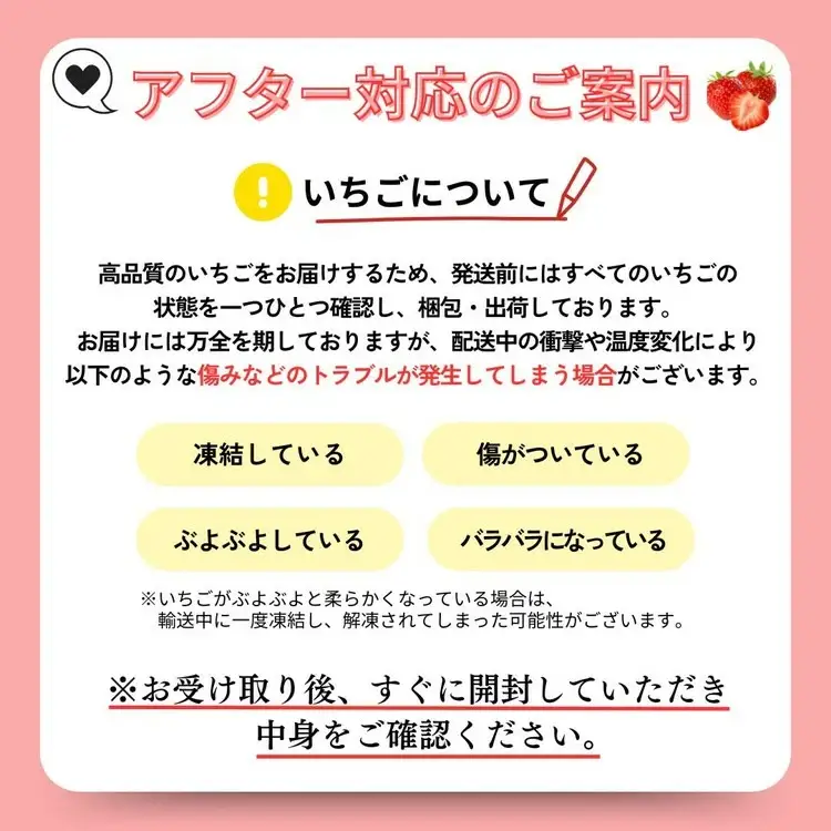 高級いちご 完熟スカイベリー2パック 580g アフター対応あり いちご ※2026年12月～発送