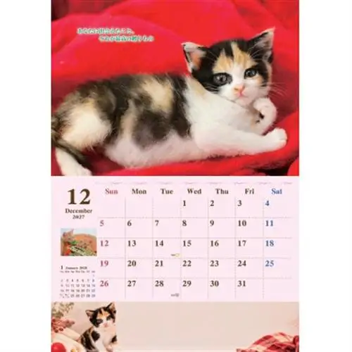 ねこともクッキー＆2027ねこともカレンダー(保護猫＆地域猫)_菓子・スイーツ クッキー    雑貨・日用品  文房具・印鑑 _【1464812】