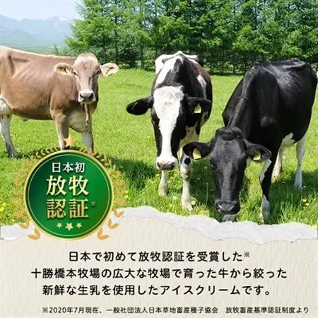 十勝白い牧場 アイス セット 6種17個(バニラ ストロベリー チョコ チーズ メロン ハスカップ)_菓子・スイーツ アイス・ジェラート  _【配送不可地域：離島】【1469504】