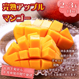 和泊町「夢」のコラボ【2回】定期便Ｃ W034-003u 野菜 イモ 定期便