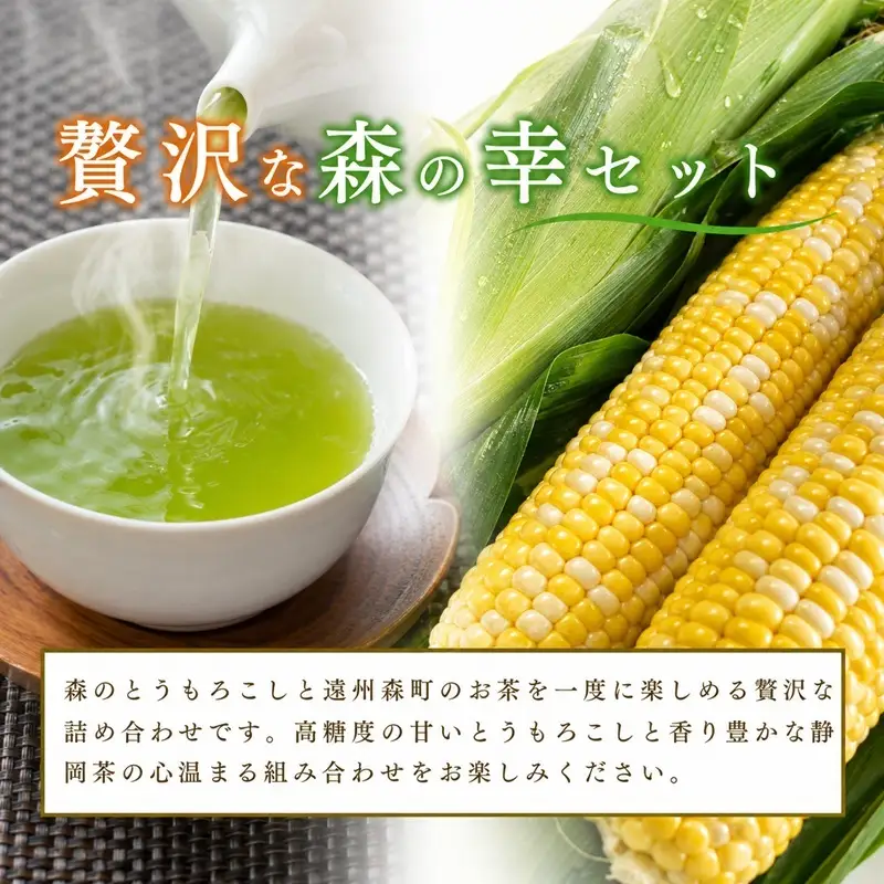 とうもろこし 新茶 セット 8～9本 詰め合わせ とうもろこし
