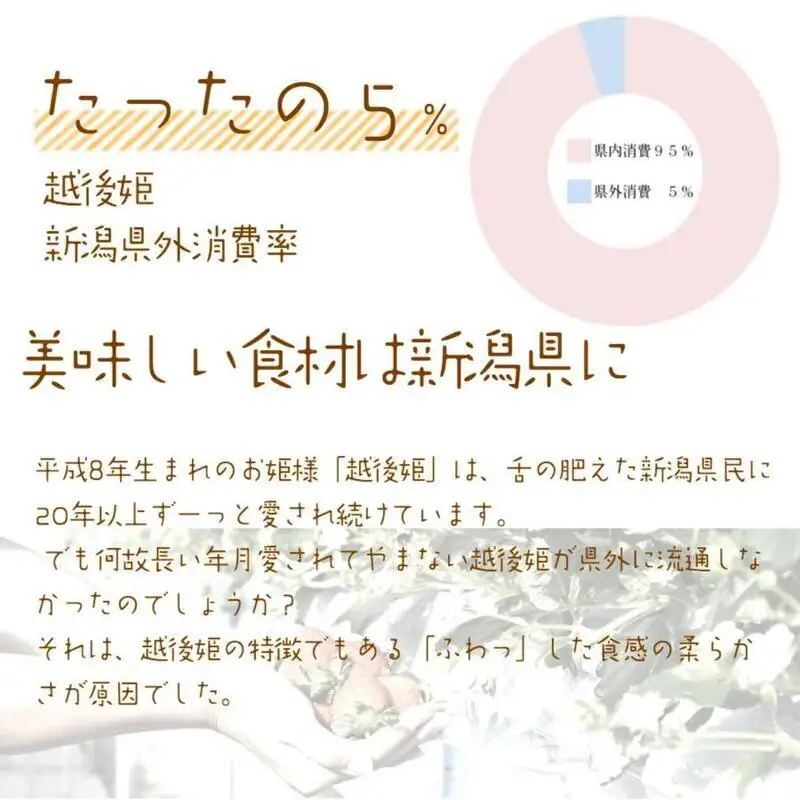 【先行予約】越後姫桃薫 いちご 越後姫 シングル約380g 苺の花ことば